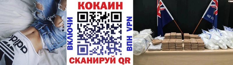 Купить закладки  Терек  Cocaine FishScale 
