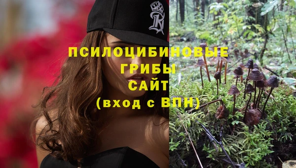 гидропоника Михайлов