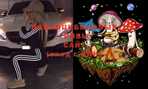 прущие крисы Михайловск