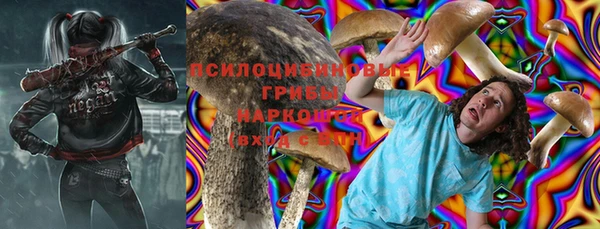гидропоника Михайлов