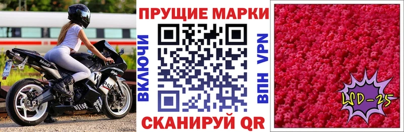 Купить закладки  Терек  Марки NBOMe 1,8мг 