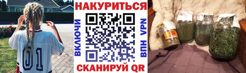 МАРИХУАНА план  Купить где  Терек 